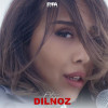 Dilnoz