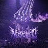 Necrotted