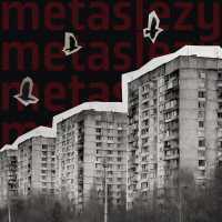 metaslezy