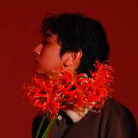 Новый дождь