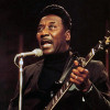 Muddy Waters