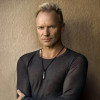 Sting