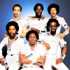 Commodores