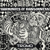 Tromo - Harmonies Of Randomness (Original Mix)