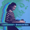 Cornershop - Brimful of Asha (Norman Cook Remix Single Version)