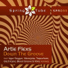 Artie Flexs - Down the Groove (Ugur Soygur Remix)
