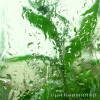 Liquid Planet Recordings - Calming Rain Sounds