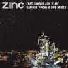 DJ Zinc - Flim (Calibre Vocal Mix)