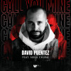 David Puentez, Nina Chuba - Call You Mine (feat. Nina Chuba)