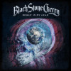Black Stone Cherry - Ringin' In My Head