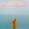 Andrew McMahon in the Wilderness - Andrew McMahon In The Wilderness