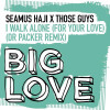 Seamus Haji, Those Guys - I Walk Alone (For Your Love) (Dr Packer Remix)