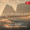Peter Schone - Mahler: Des Knaben Wunderhorn