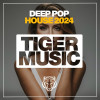 Various Artists - Deep Pop House 2024