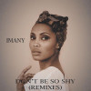 Imany - Don't Be So Shy (Filatov & Karas Remix)