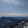 Alexander Demidov - Endless skyline