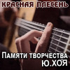 Красная плесень - Четвёртая струна (New version)