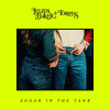 Julien Baker, Torres - Sugar in the Tank
