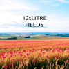 12xLITRE - Fields