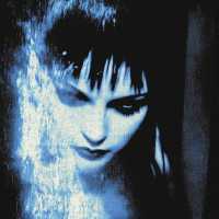 Money Flip - insomnia