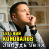 Евгений Коновалов - Забудь меня