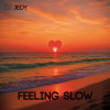 DJ JEDY - Feeling Slow