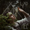 LiXO - Лес