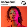 Various Artists - Melodic Deep House 2025