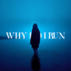 Vadim Adamov, Blind Rose, Punsh - Why Do I Run