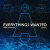 Armin Van Buuren, Malou - Everything I Wanted