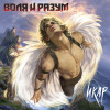 Воля и Разум - Икар