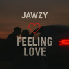 Jawzy - Feeling love