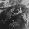 James the Seventh - Shame