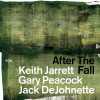 Jack Dejohnette - After The Fall